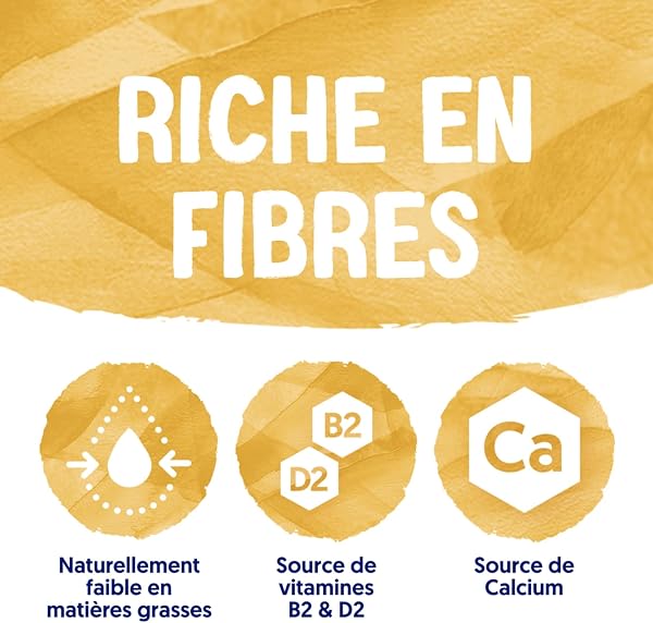 Alpro - Boisson Végétale - Avoine - 1L - Lot de 4x1L - 3