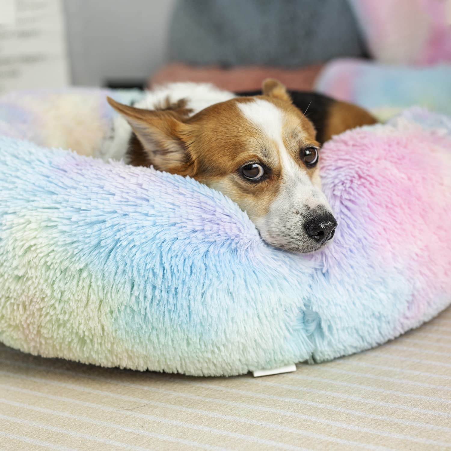 Cama para perro y gato de felpa redonda y mullida de piel sintética, cálida, lavable, cama original para mascotas pequeñas, medianas y grandes, se utiliza para aliviar las articulaciones y
