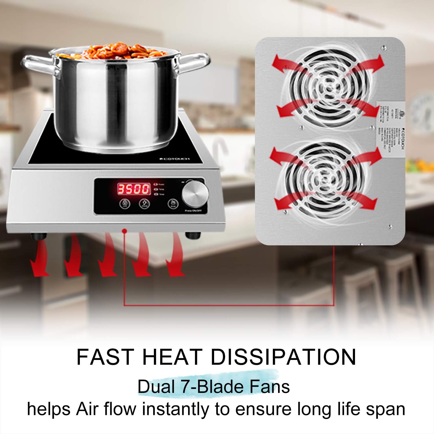 Portable Induction Cooktop, ECOTOUCH Countertop