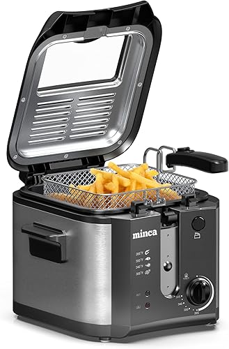 minca Freidora con canasta, freidora eléctrica de 1500 W, 2.5 L, temperatura ajustable, tapa extraíble con filtro de olor y ventana de visión, acero