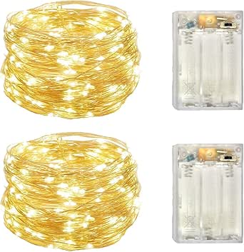 2 Pack Battery Operated Mini Lights,Indoor Led Fairy Lights with Timer 6 Hours on/18 Hours Off for Wedding Party Decorations,50 Count LEDs,18 Feet Silver Wire (Warm White)