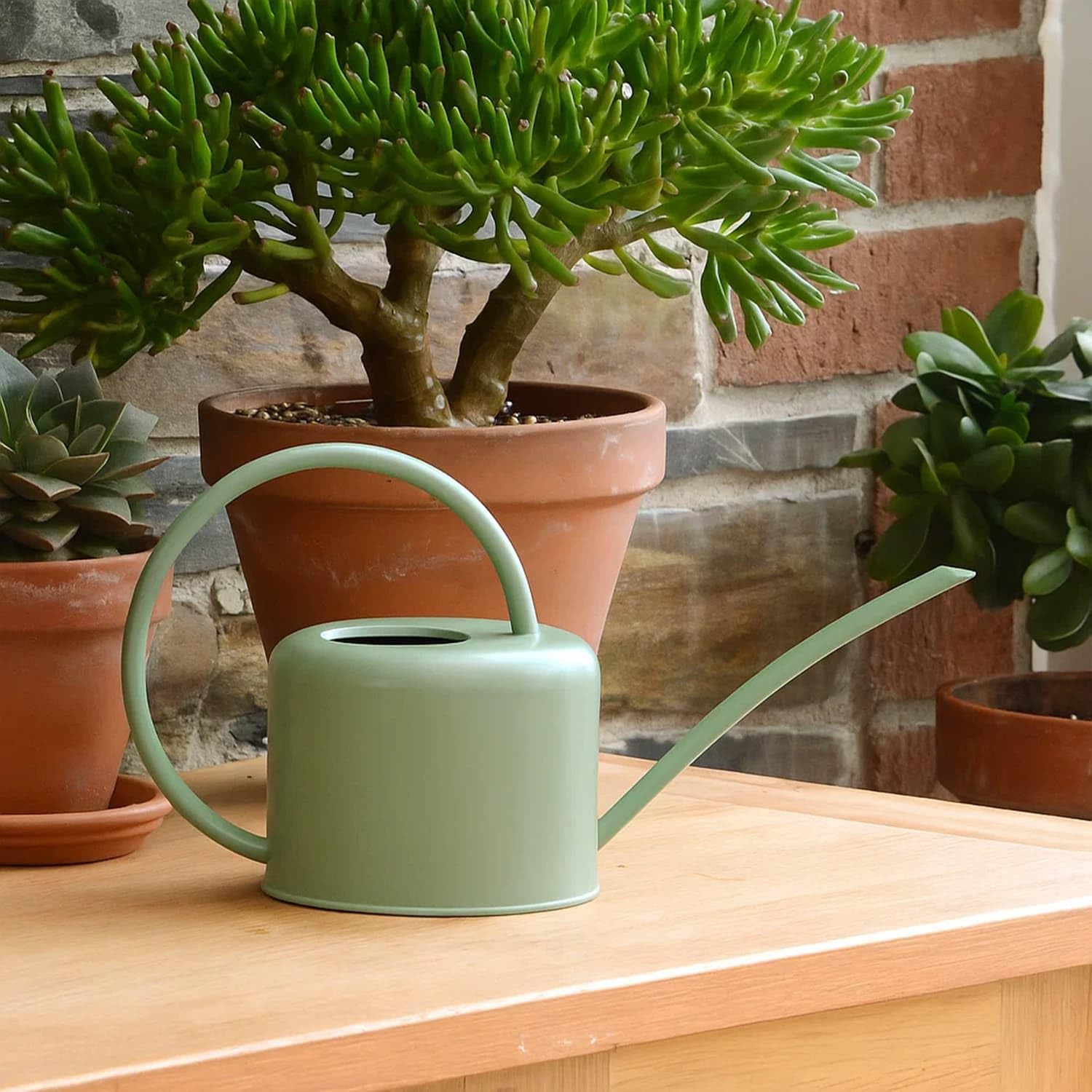 CKB Ltdยฎ Small 1.1L Indoor Watering Can - Sage Coloured Galvanised Powder Coated Steel - For Houseplants Contemporary Metal Design With Narrow Spout And High Handle (Sage Green)