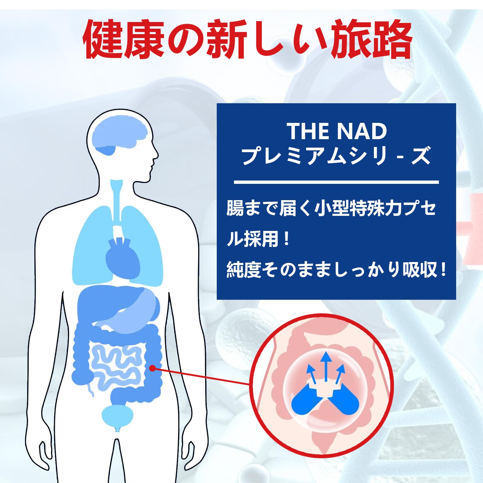 Amazon.co.jp: リポソーム型NAD+サプリメント、98％純度のNAD+ 