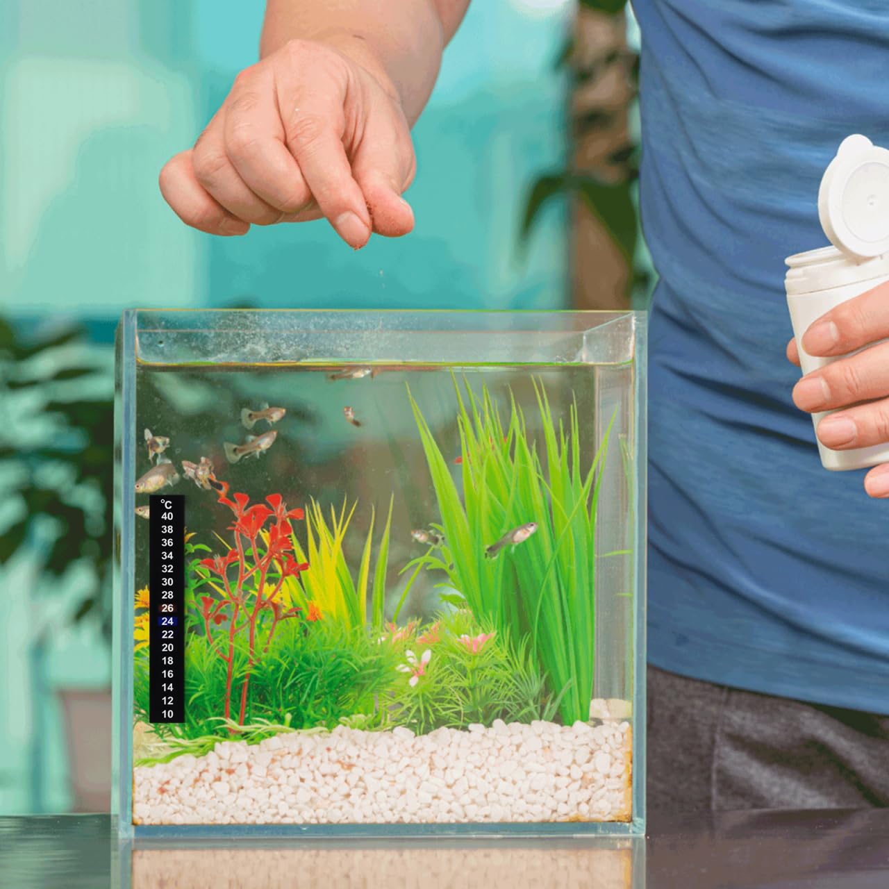 10piezas Termómetro Digital Autoadhesivo Para Acuario Y Cocina Tira De Medición De Temperatura De Indicador De Color Fácil De Leer Para Peceras Vino Y Cerveza