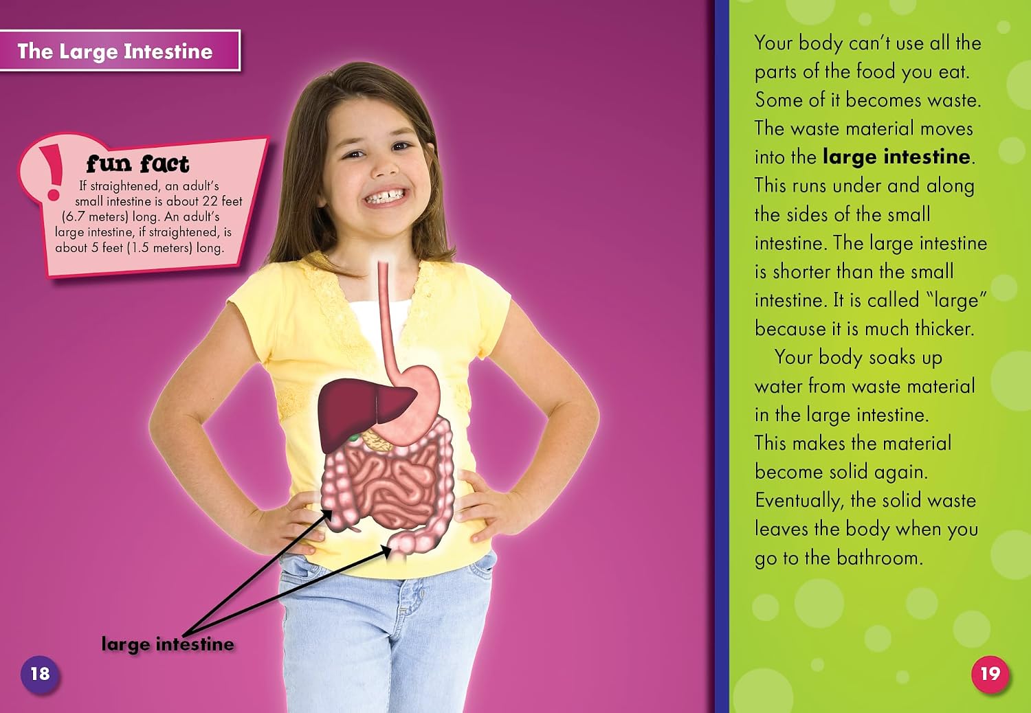 The Digestive System (Blastoff! Readers: Body Systems) (Blastoff Readers. Level 4)      Library Binding – January 15, 2009