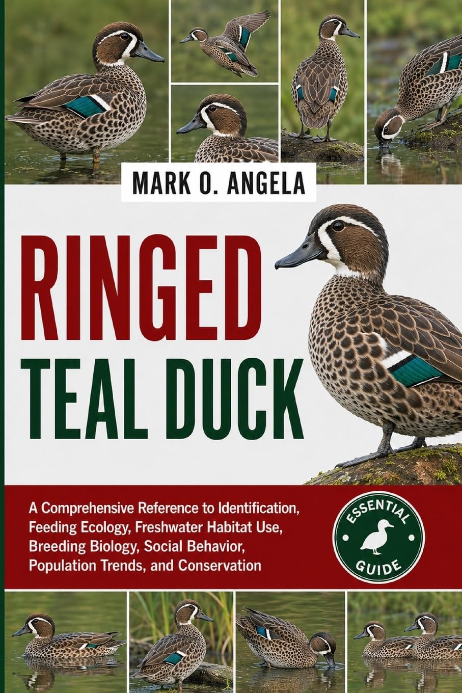 RINGED TEAL DUCK: A Comprehensive Reference to Identification, Feeding Ecology, Freshwater Habitat Use, Breeding Biology, Social Behavior, Population Trends, and Conservation