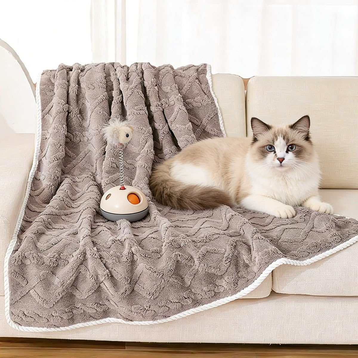 Lot de 2 couvertures imperméables pour animal de compagnie - Couverture lavable pour lit et chat - Pour lit, canapé, siège de voiture - Lavable - Pour chiens et chats - Café - 75 x 100 cm