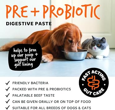 BUGALUGS Dog Probiotic Digestive Paste for Dog & Cat - Gut Health, Digestive Supplements with Fast-Acting Ingredients for Dogs & Cats (30ml)