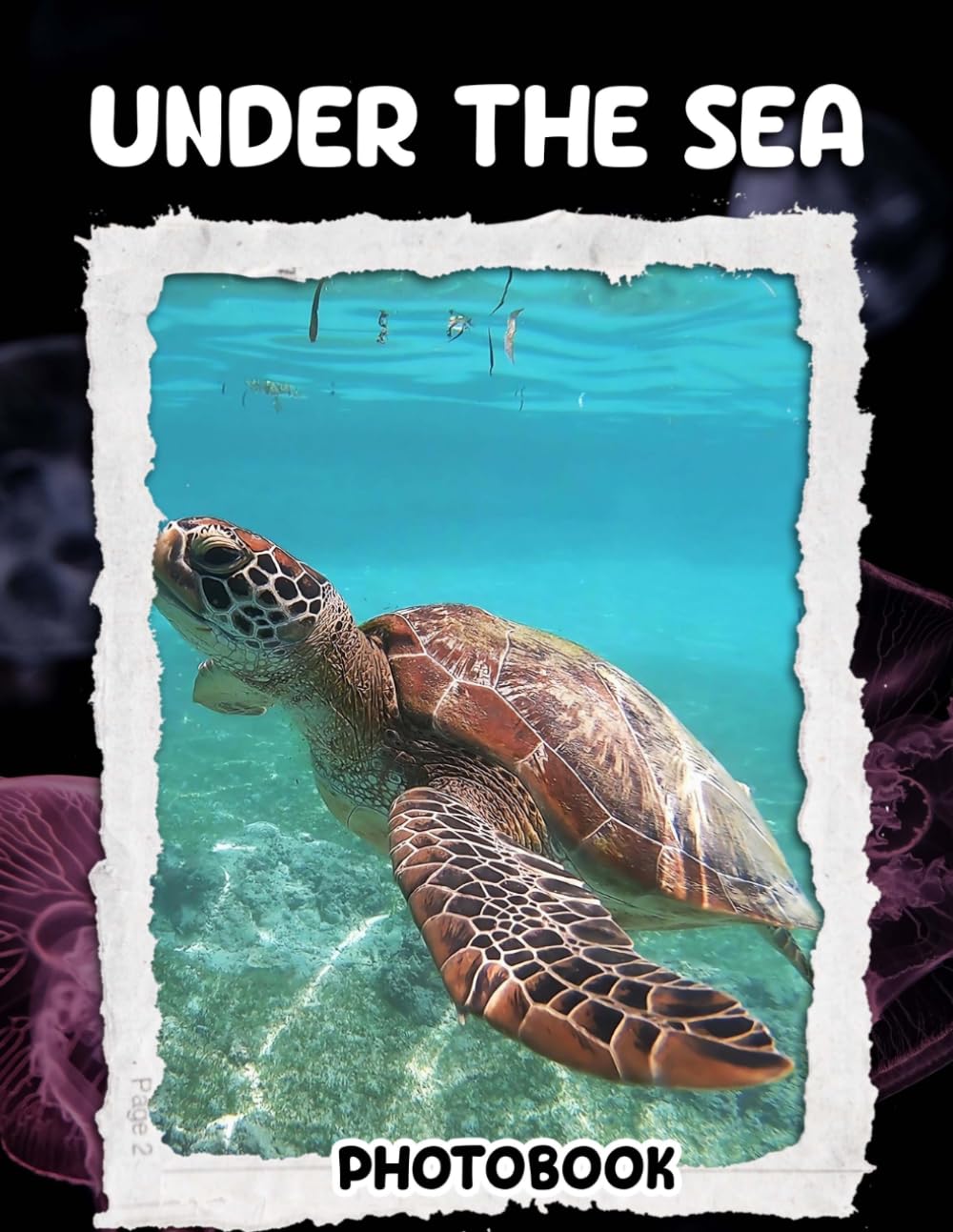 Under the Sea Photo Book: 40 Pages Captivating Ocean Life Photography Showcasing Vibrant Marine Ecosystem In Colorful Underwater Scenes