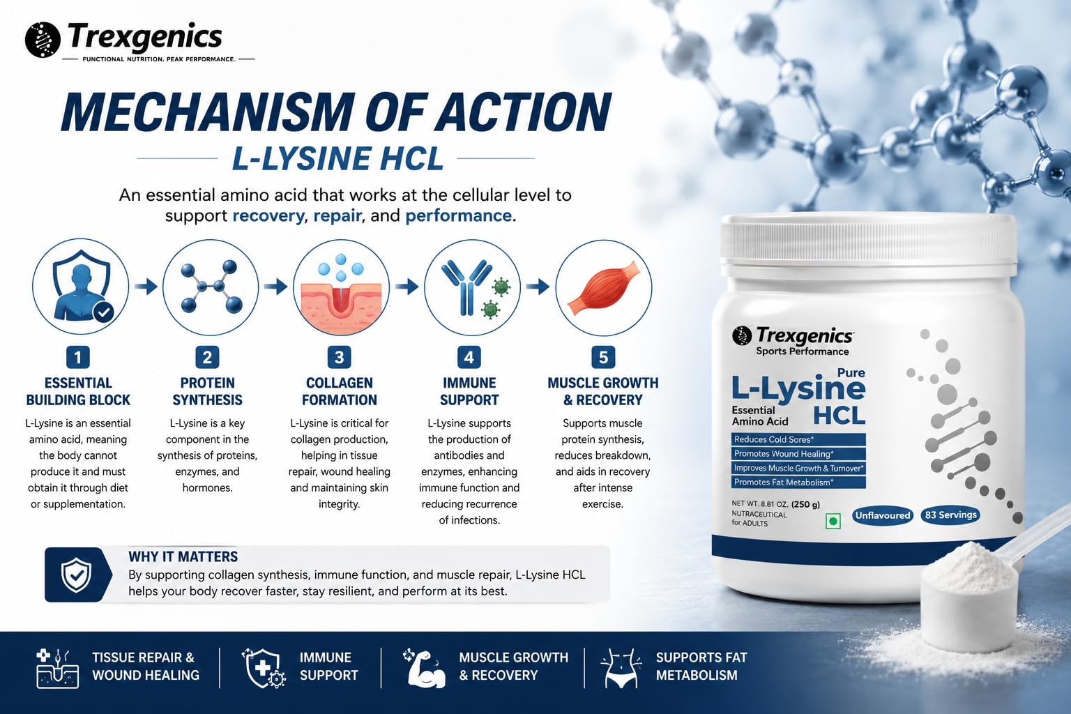 Trexgenics L-LYSINE HCL PURE POWDER Essential amino acid Cold Sores, Immunity, Muscle Mass, Skin, Hair Support 83 Servings (250 GRAM) 3