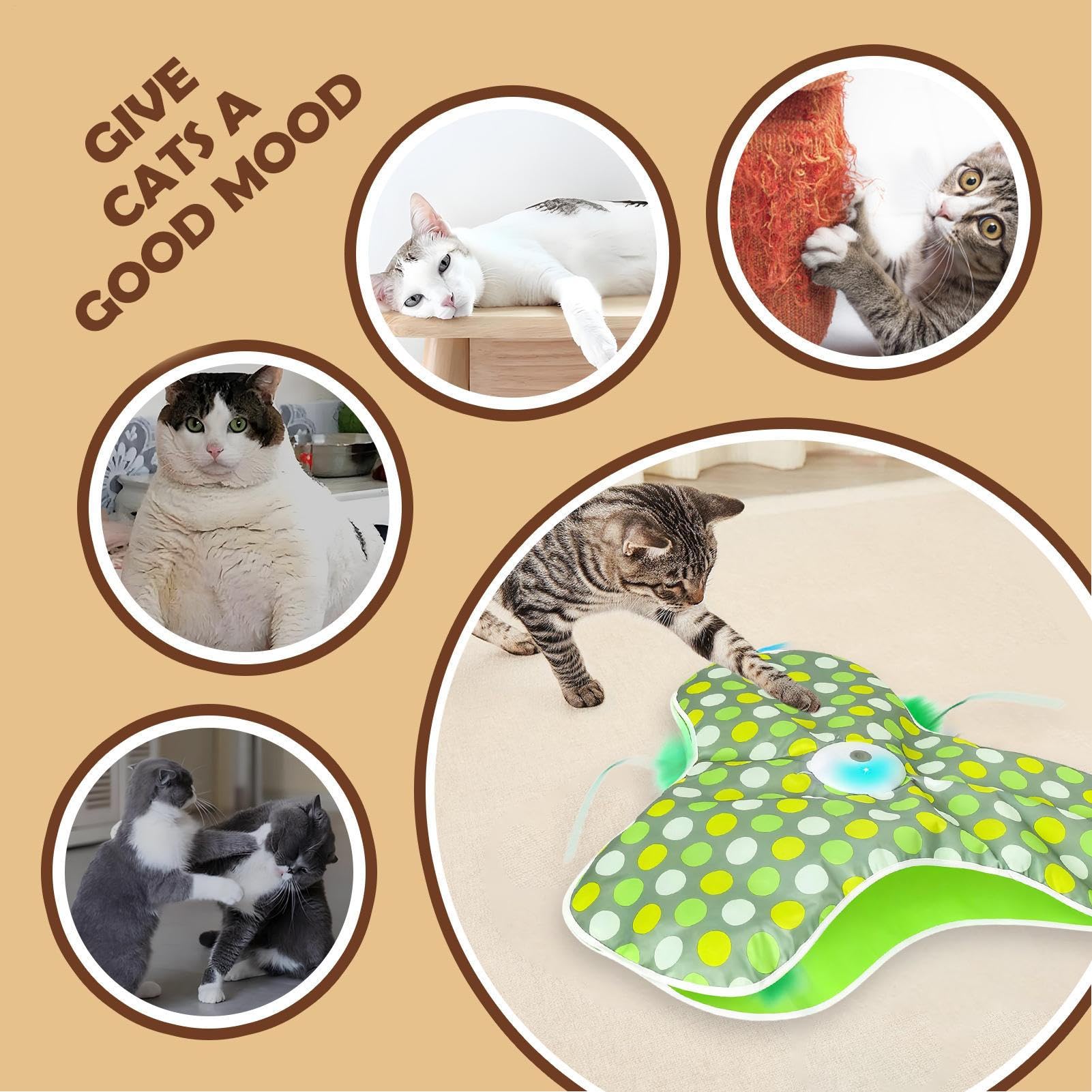 Jouet Électrique pour Chats à Leurres Cachés en Mouvement