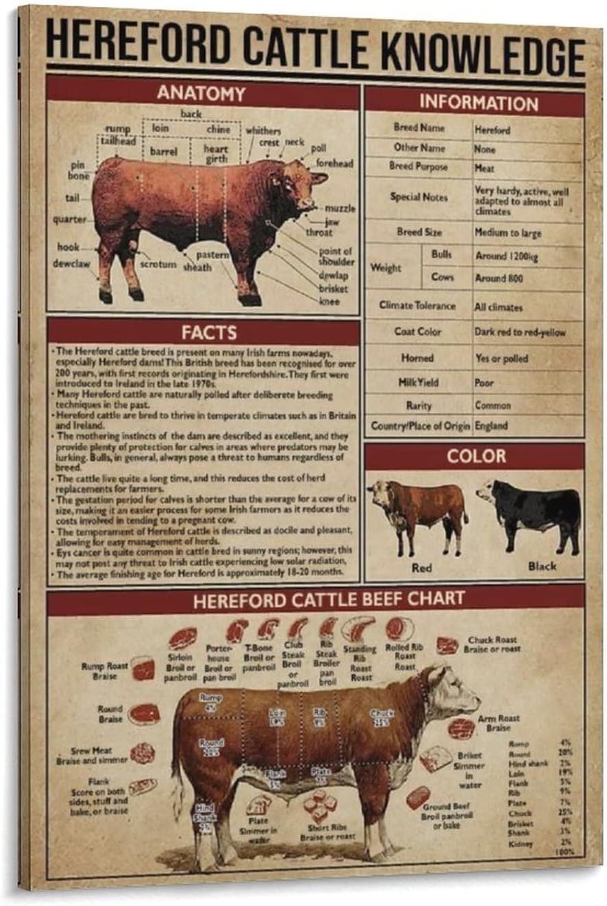 rayprint Hereford Cattle Knowledge Room Aesthetics for Room Aesthetics and Decorative Picture Painting Artwork or Bathrooms Wall Bedroom Printed 12x16