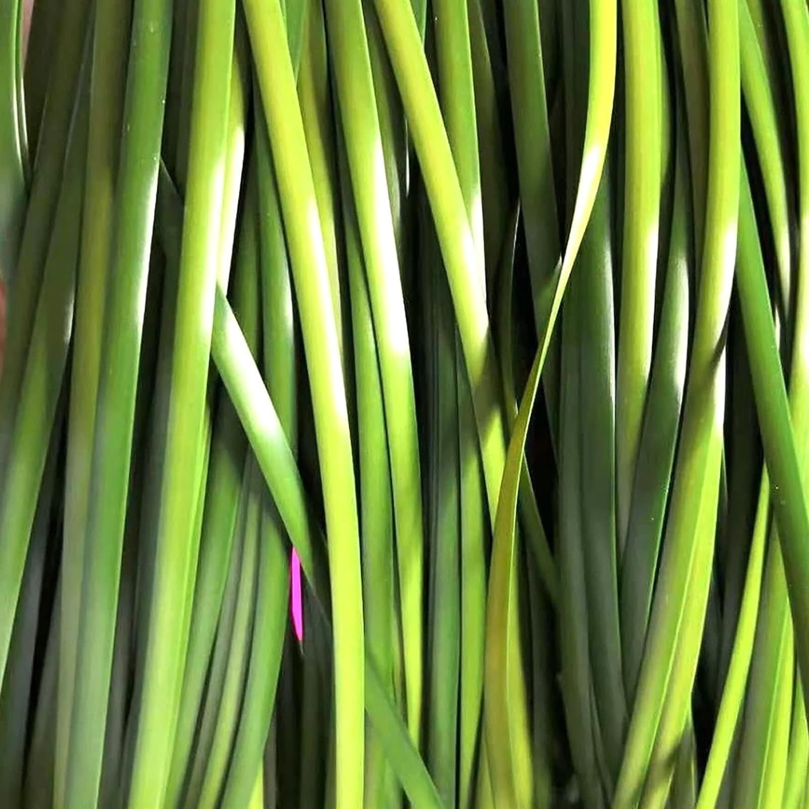 OUdini 500G Rattan Roll Plastic Woven Rattan Wicker Repair Material Rattan Repair Kit for Acapulco Chairs Flower Baskets/J/5Mm