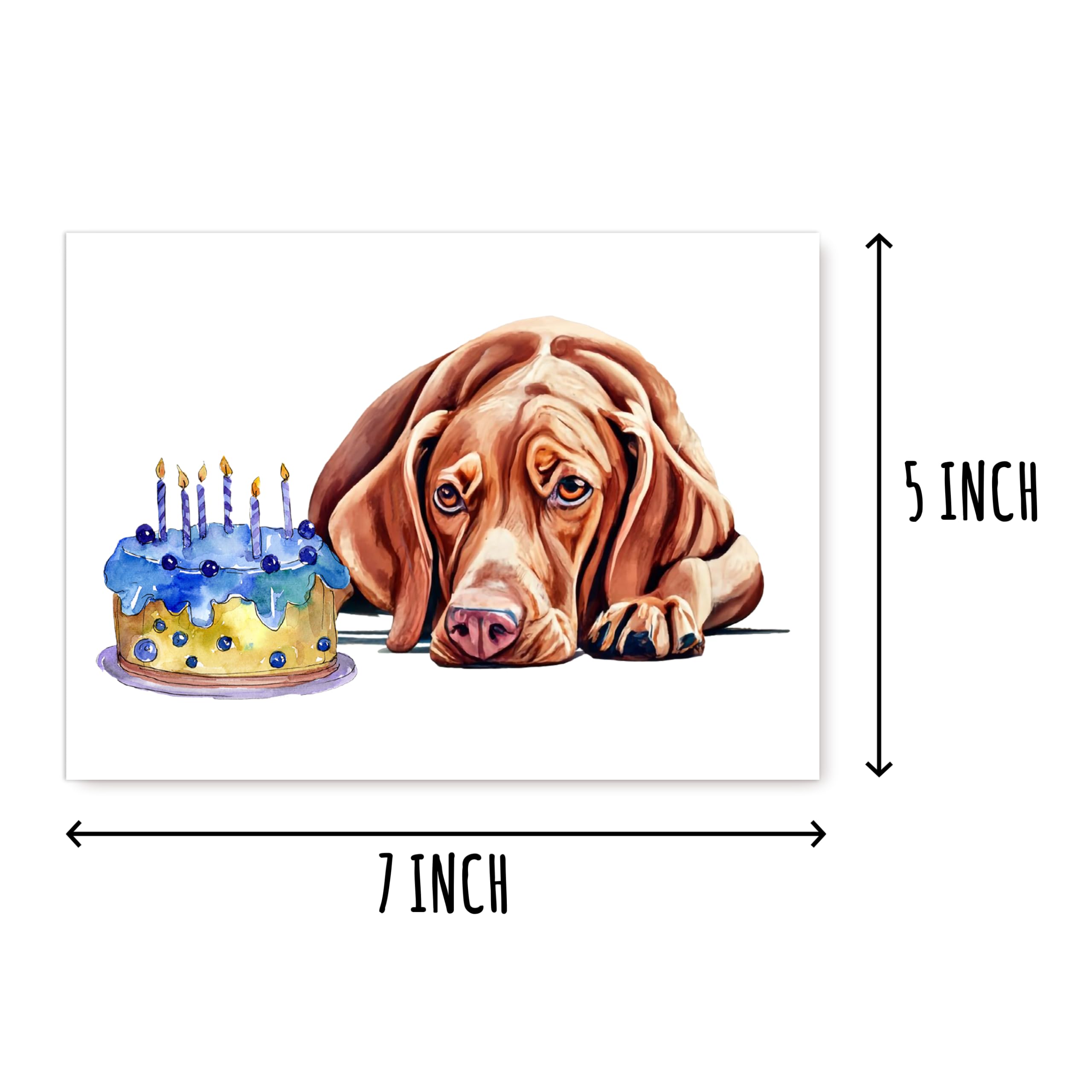 Vizsla Hund Geburtstagskarte – Premium Klappkarte, 12,7x17,8 Cm, Innen Blanko, Für Geburtstag, Dank & Genesung