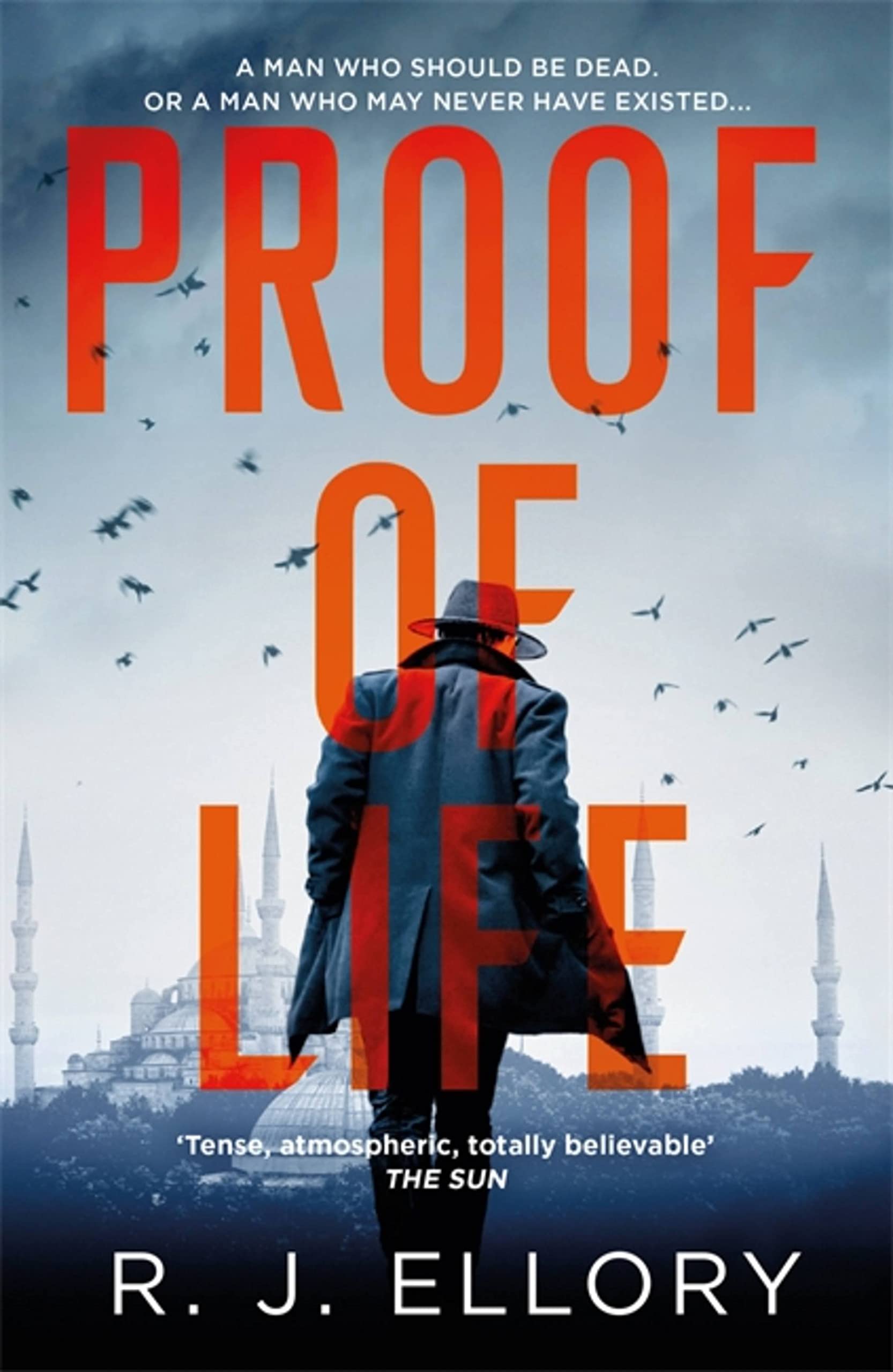Proof of Life by R.J. Ellory (Paperback Book)