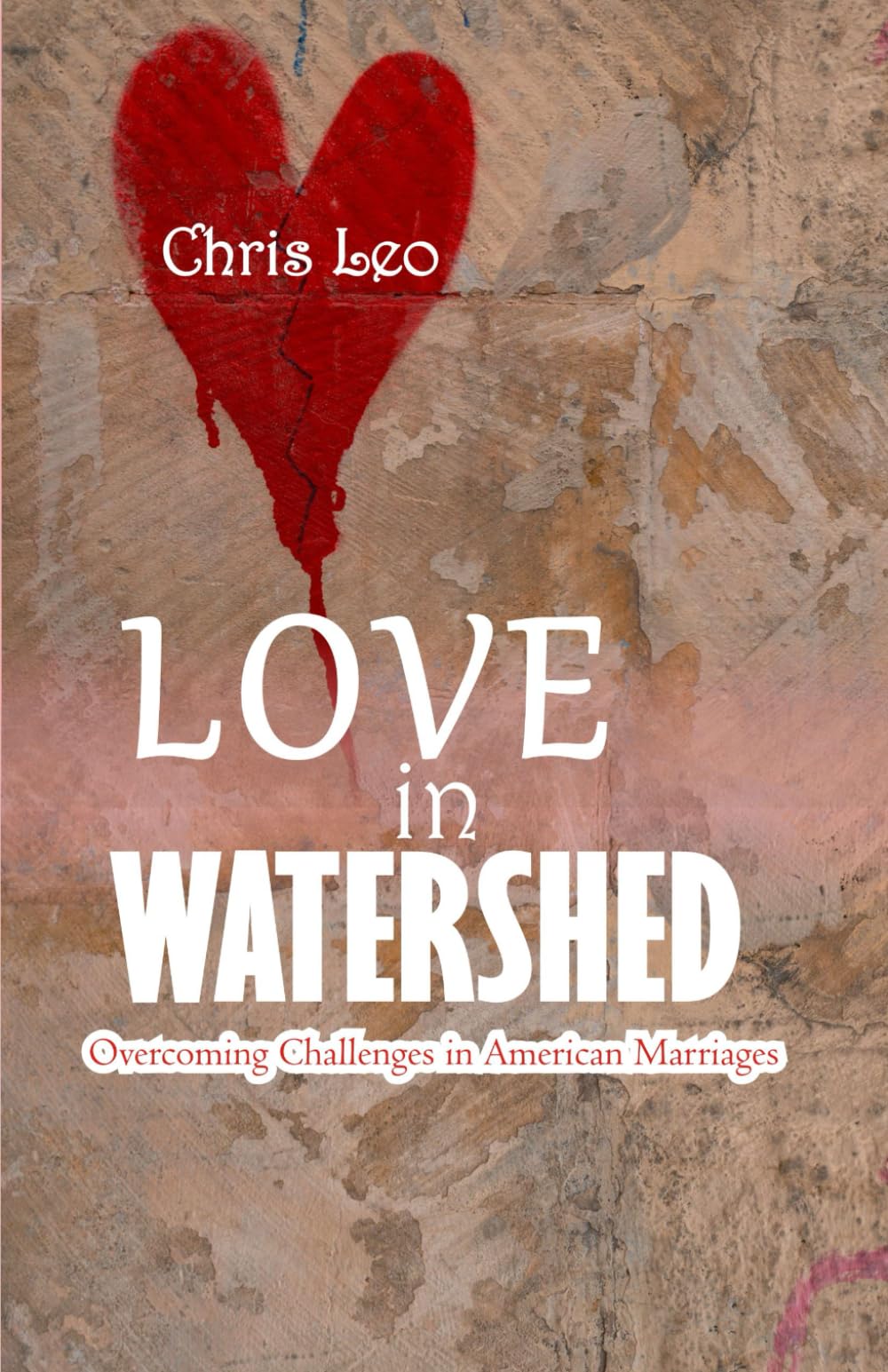 LOVE IN WATERSHED: Overcoming Challenges in American Marriages