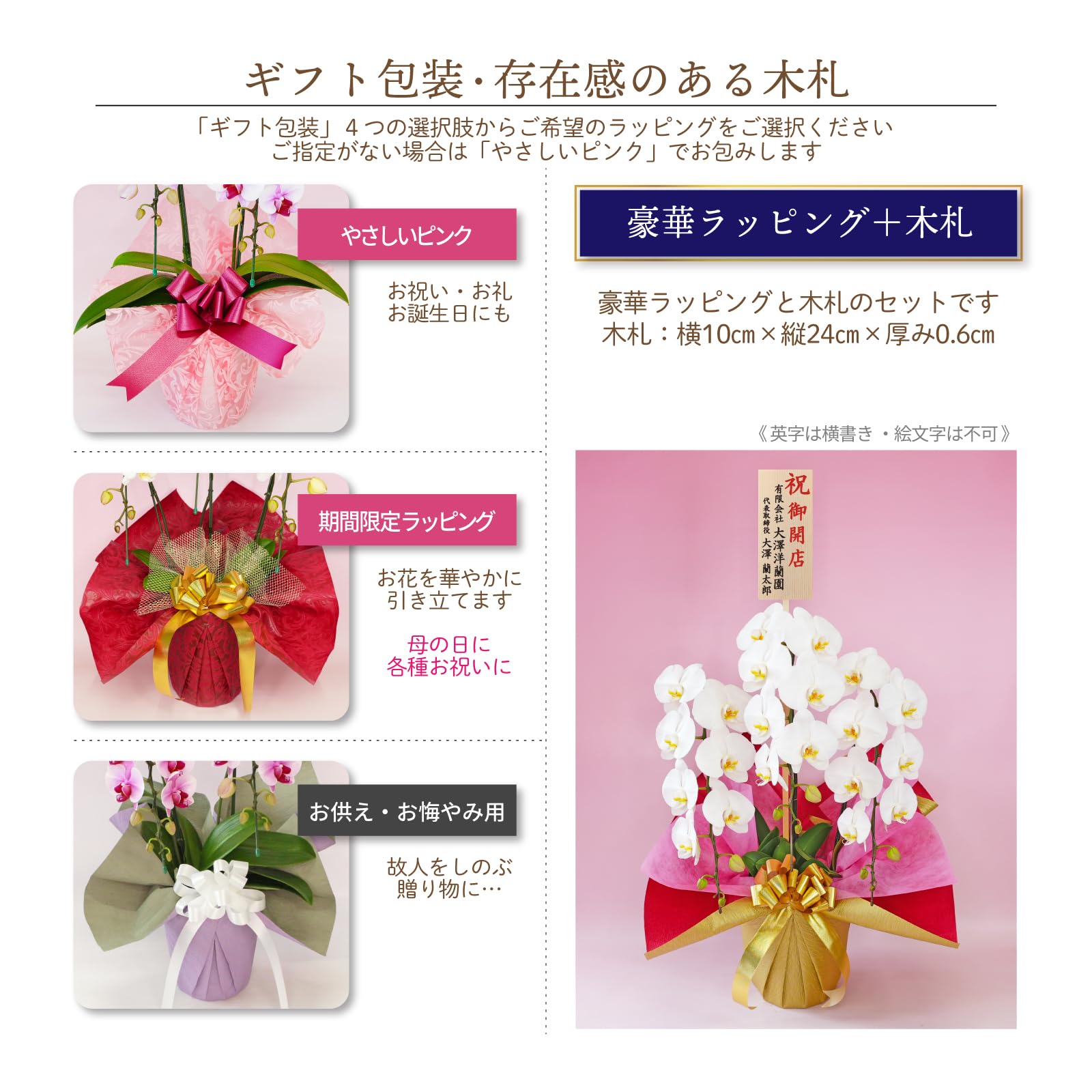 Amazon｜ふじみ野ラン園 中大輪胡蝶蘭3本立ち 花数27輪以上のバリュー