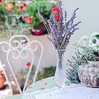 Vista 4 de Colección de semillas de hierbas, 12 variedades, incluyendo albahaca, perejil, romero, eneldo, cebollino, cebollino, orégano, mostaza, tomillo