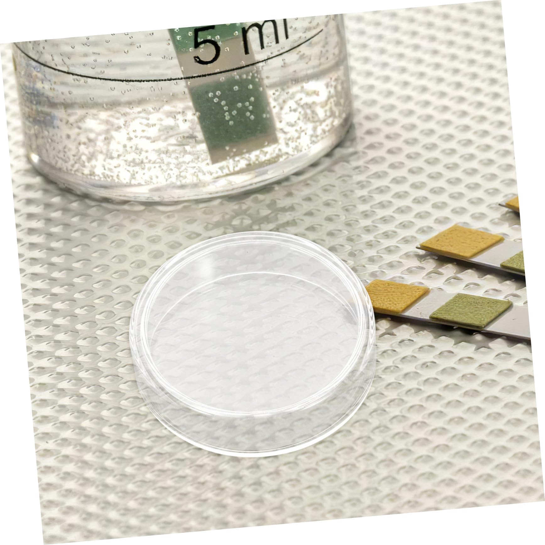 GLEAVI 10stücke Petrischale aus Glas mit Deckel für Labor und Mikrobiologische Kulturen für Pilz und Gewebekulturen im Wissenschaftsbereich