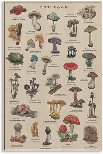 CZOURPVU Póster vintage de hongos para pared, diseño de hongos rústicos, 12 x 18 pulgadas (11.8 x 17.7 in)