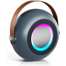 Passau 30W Portable Bluetooth Speaker with Deep Bass, Handle, 24H Play