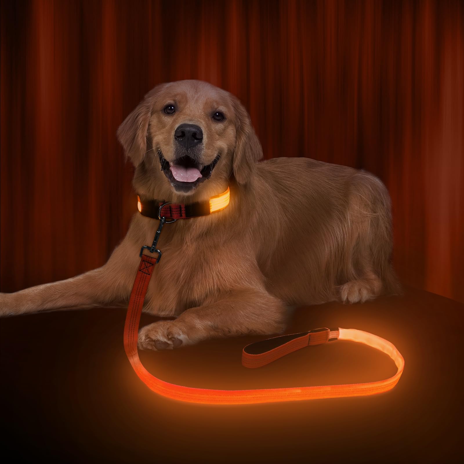 Ezierfy Light Up Dog Lead, 4 Ft Reflective LED Dog Leash Rechargeable Flashing Puppy Lead High Visibility Up to 500M