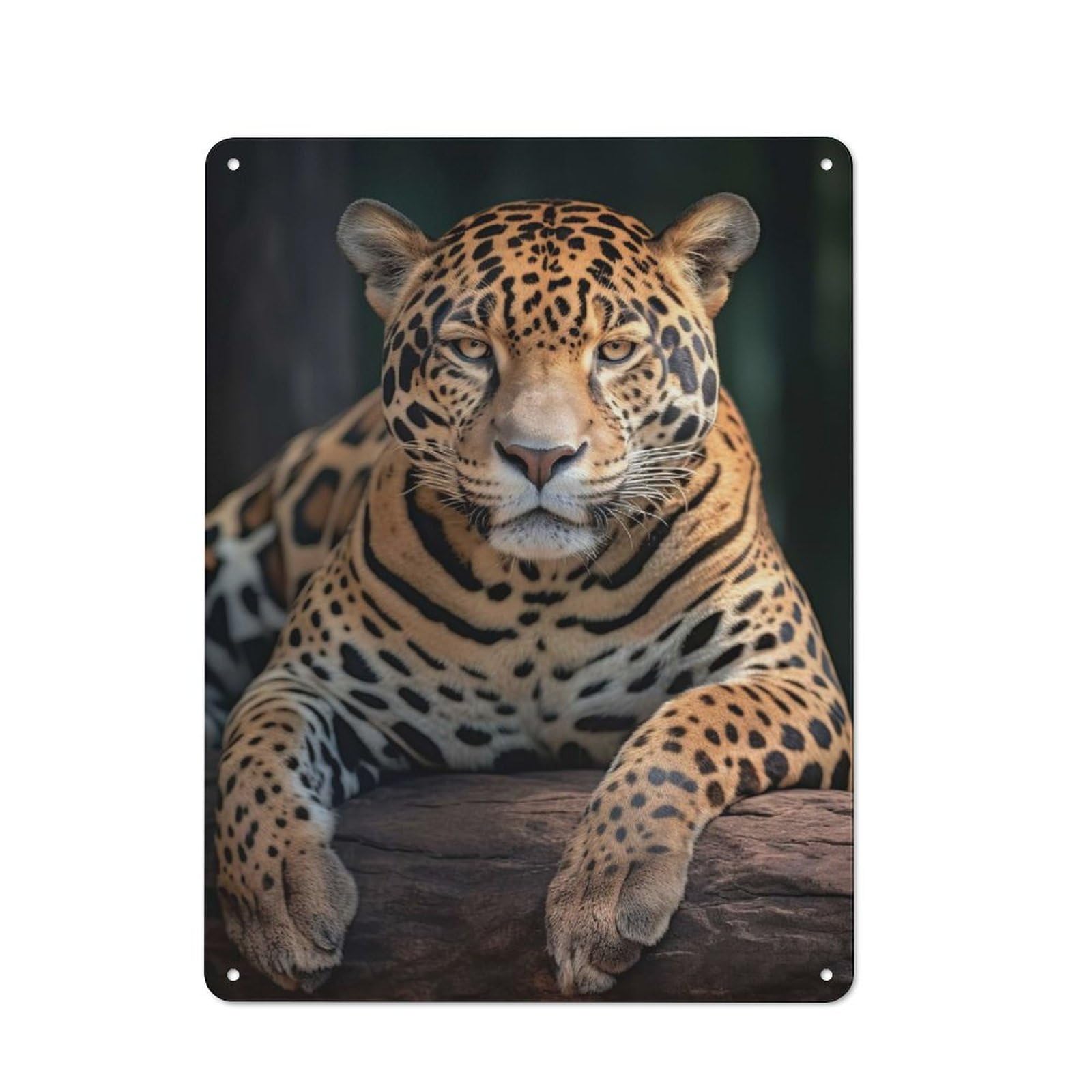 Junmoney Style-12 Jaguar Wildlife Portrait Tin Sign 40X30cm, Creative Studio Wall Plaque For Hobby Room, Office, Lounge Or Living Room