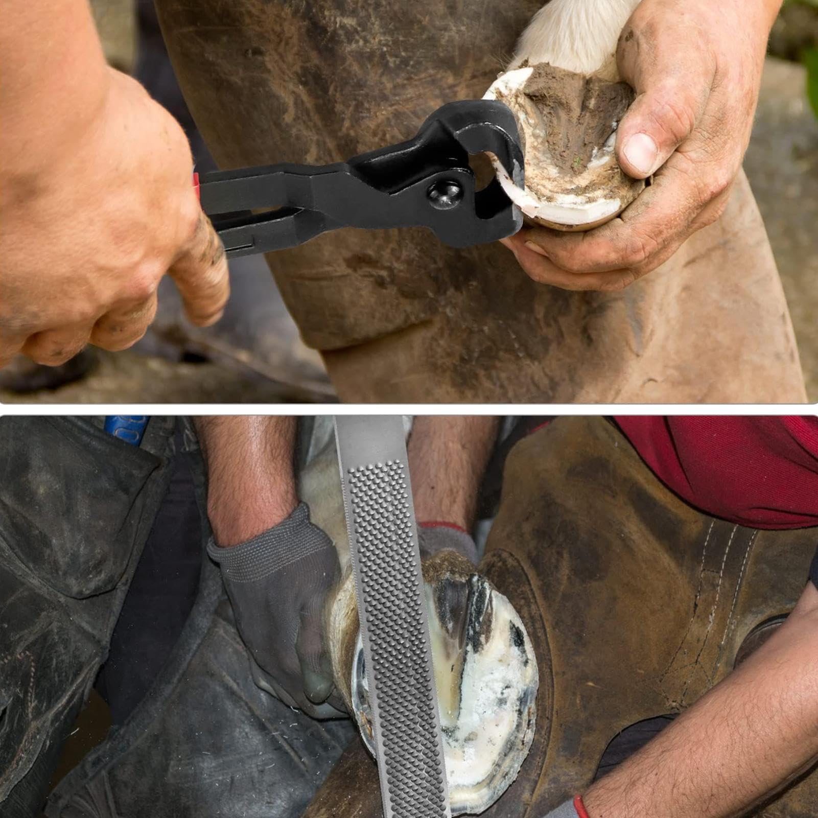 Scalpello da taglio per unghie di capra,Attrezzature per la rifilatura dei bovini - Set di suole antiscivolo per unghie di equidi, bestiame, stalla, toelettatura e falciatura
