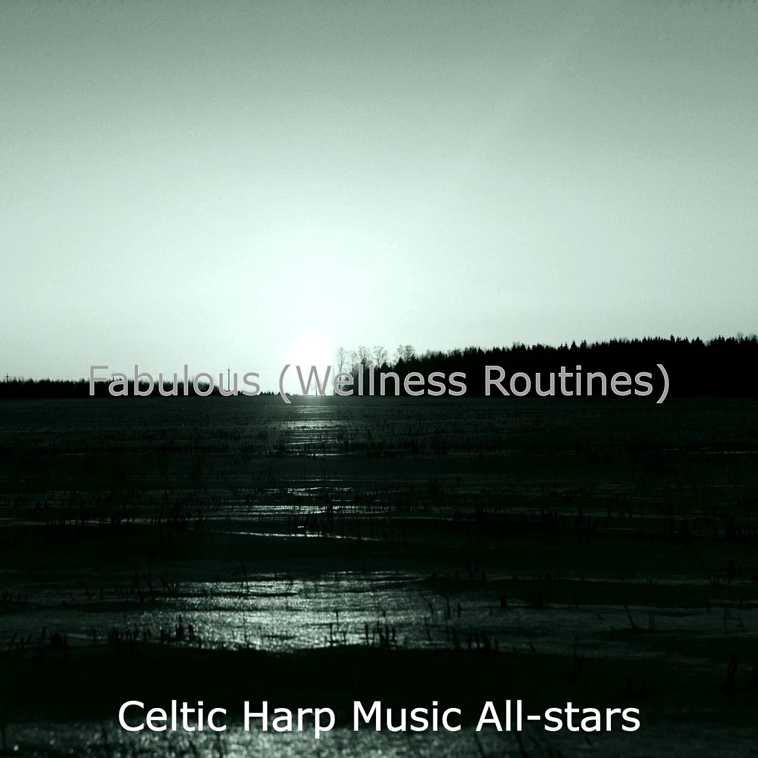Celtic Harp Music All-stars
