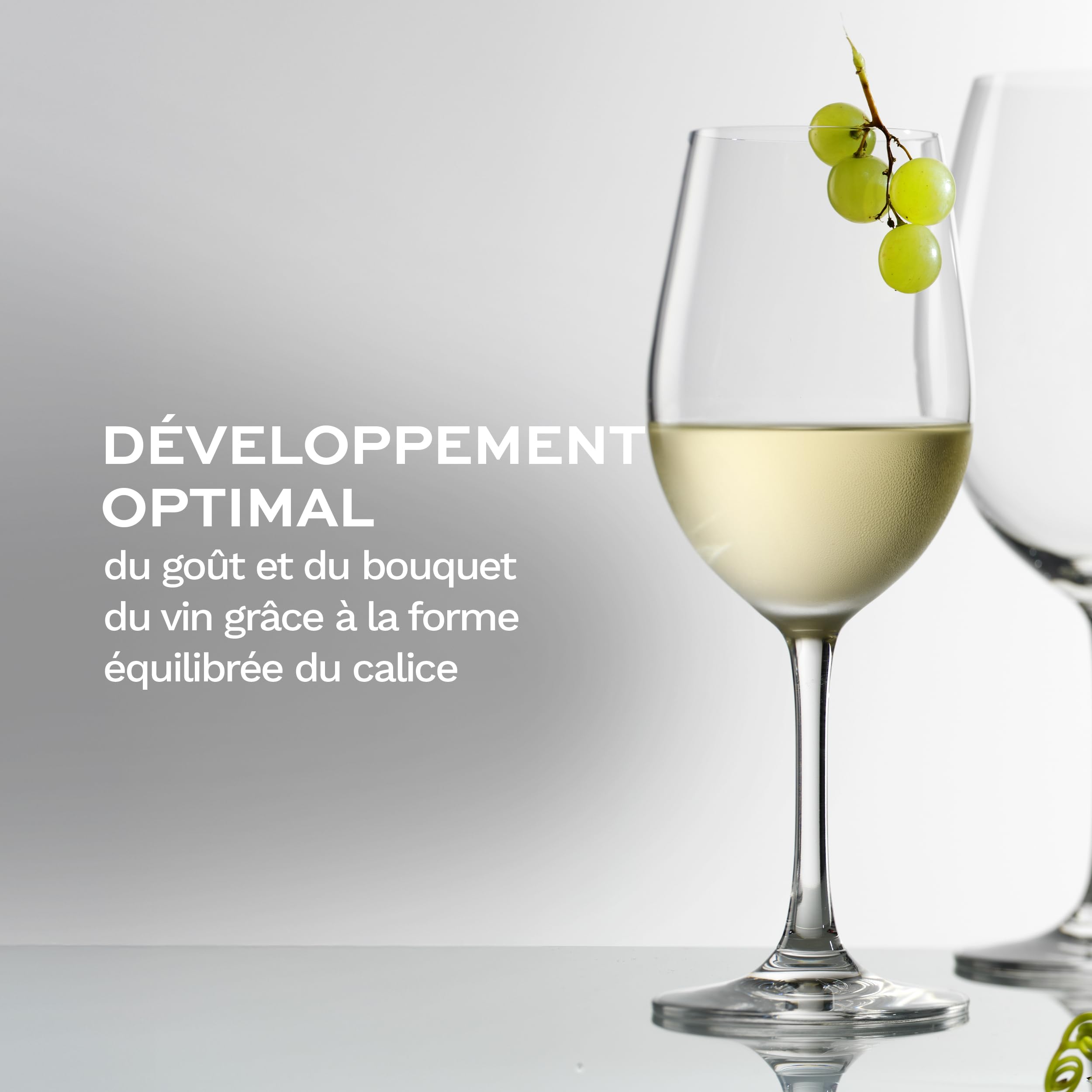Stölzle Lausitz Verres à Vin Blanc Classic Lot de 6, 305ml – Verres en Cristal Robustes Idéaux pour les Vins Blancs & Rouges Légers – Lavables au Lave-vaisselle, Qualité Allemande