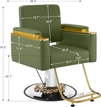 BarberPub Luxurious Barber Chair for Hair Stylist, Barbershop 8633(Green) | Gold&Black Beauty Spa Salon Styling Chair for Hair Stylist, 440lbs Hydraulic Pump Height Adjustable Barbershop Equipment