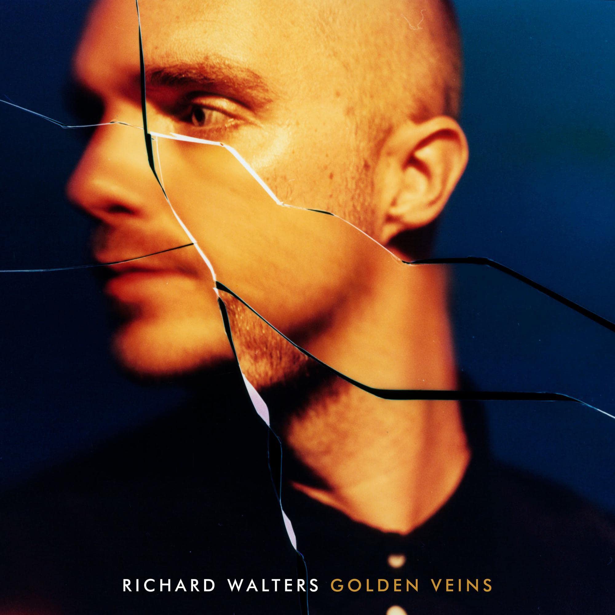 Golden Veins (LP) [VINYL]