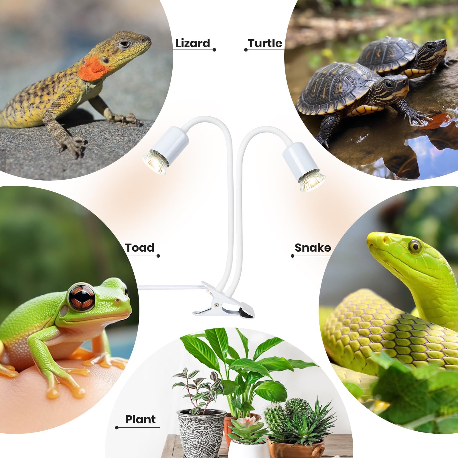 LUFEIS Verwarmingslamp schildpad, UVA UVB-lamp voor reptielen, met 3 gloeilampen en thermometer voor reptielen, met houder voor terrarium, lamp voor reptielen, amfibieën, schildpadden