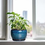SQOWL 10 Pot de plante de pouce - Pot en céramique avec trou de drainage et soucoupe, Pot décoratif pour les plantes d'extérieur intérieur, Pot rond grand planteur, bleu