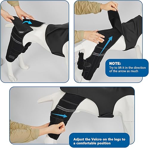 Miniatura 5 de Rodillera ajustable para pierna de perro para pierna trasera, rodillera de perro para pierna trasera desgarrada con 4 estabilizadores, soporte de
