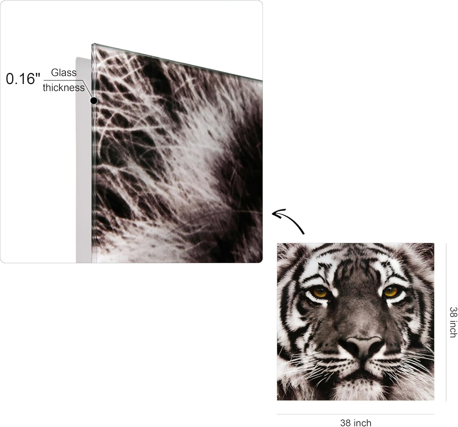 Empire Art Direct Tiger Tempered Glass Wall Art, Frameless Graphic Wall Decor, Square Wall Art, Brown, Ready to Hang,Living Room,Bedroom,Home Office,38" x 38"