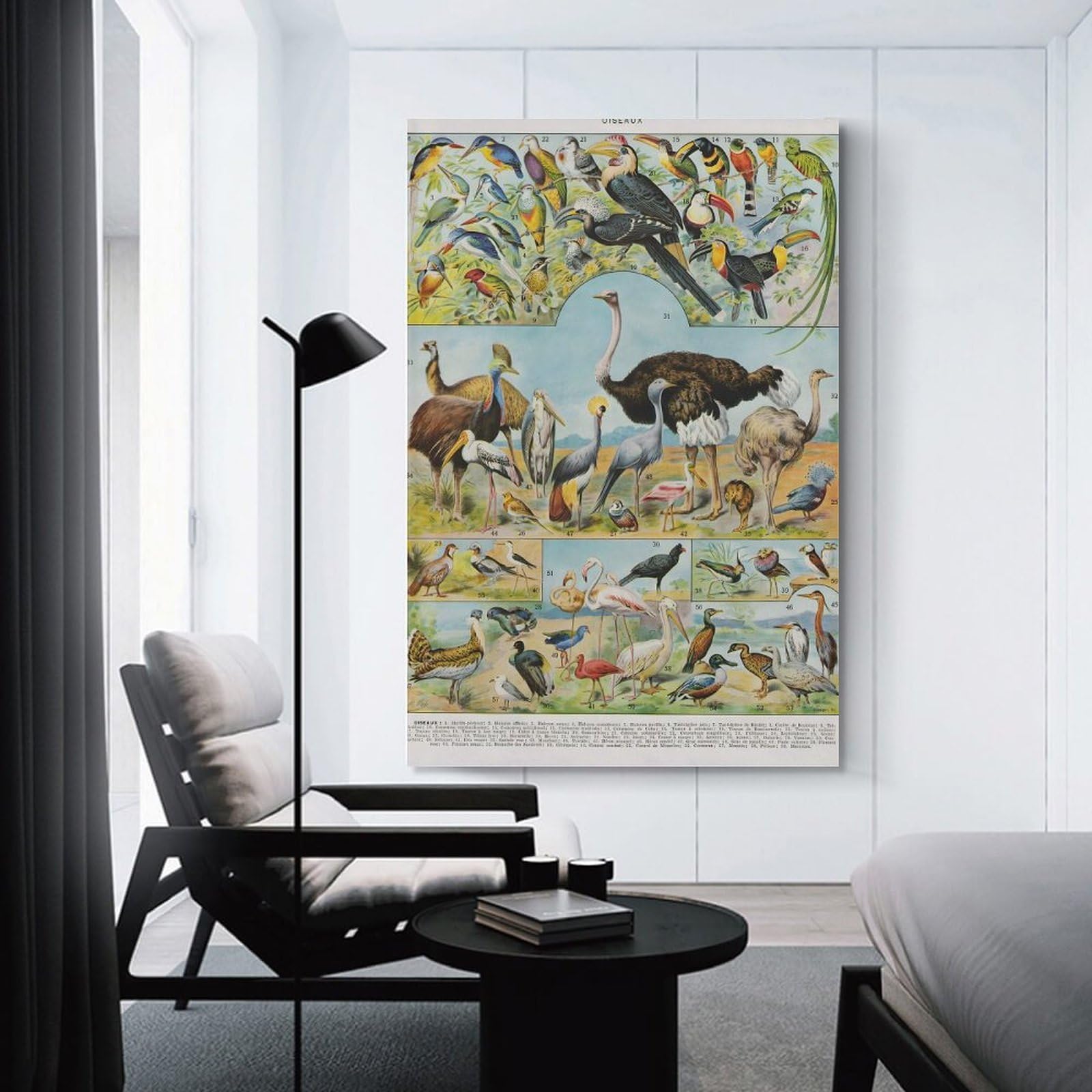 Junmoney Unframe-Style-13-2 Wall Decor Canvas Print Oiseaux, 08X12inch(20X30cm), For Sofa Walls, Lounge Or Home Corners, Modern Wall Decor For Cosy Interiors