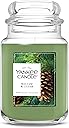 Yankee Candle Balsam & Cedar, Holiday Scented Candle, 22oz Large Jar with up to 150 Hour Burn Time, Giftable