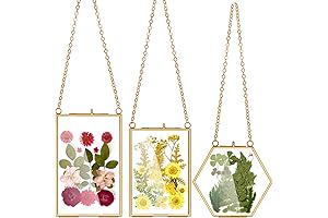 AVLA Pressed Flowers Glass Frames, Set of 3