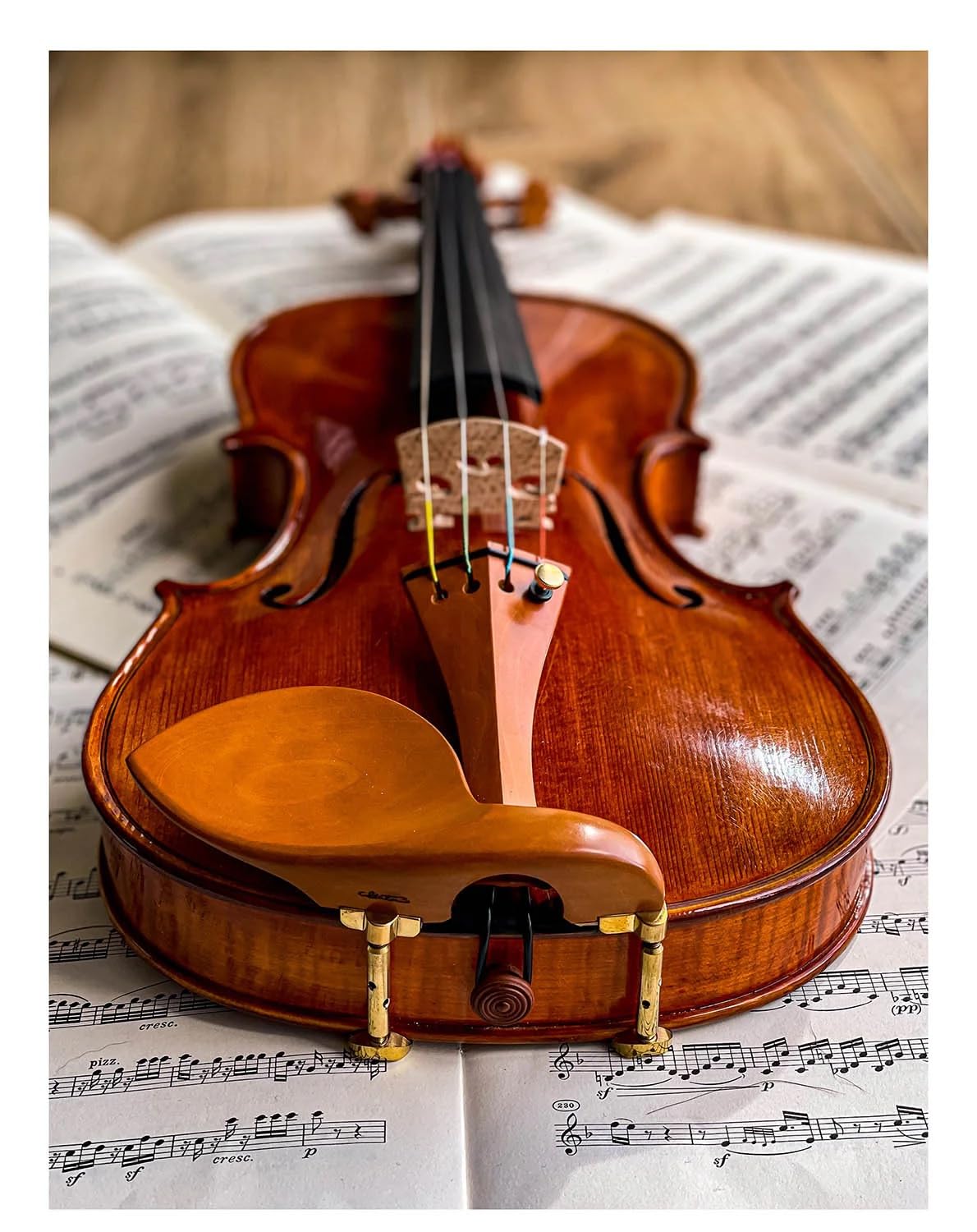 Conrad Gotz ZK1594G Mentonnière Stradivari pour violon, buis