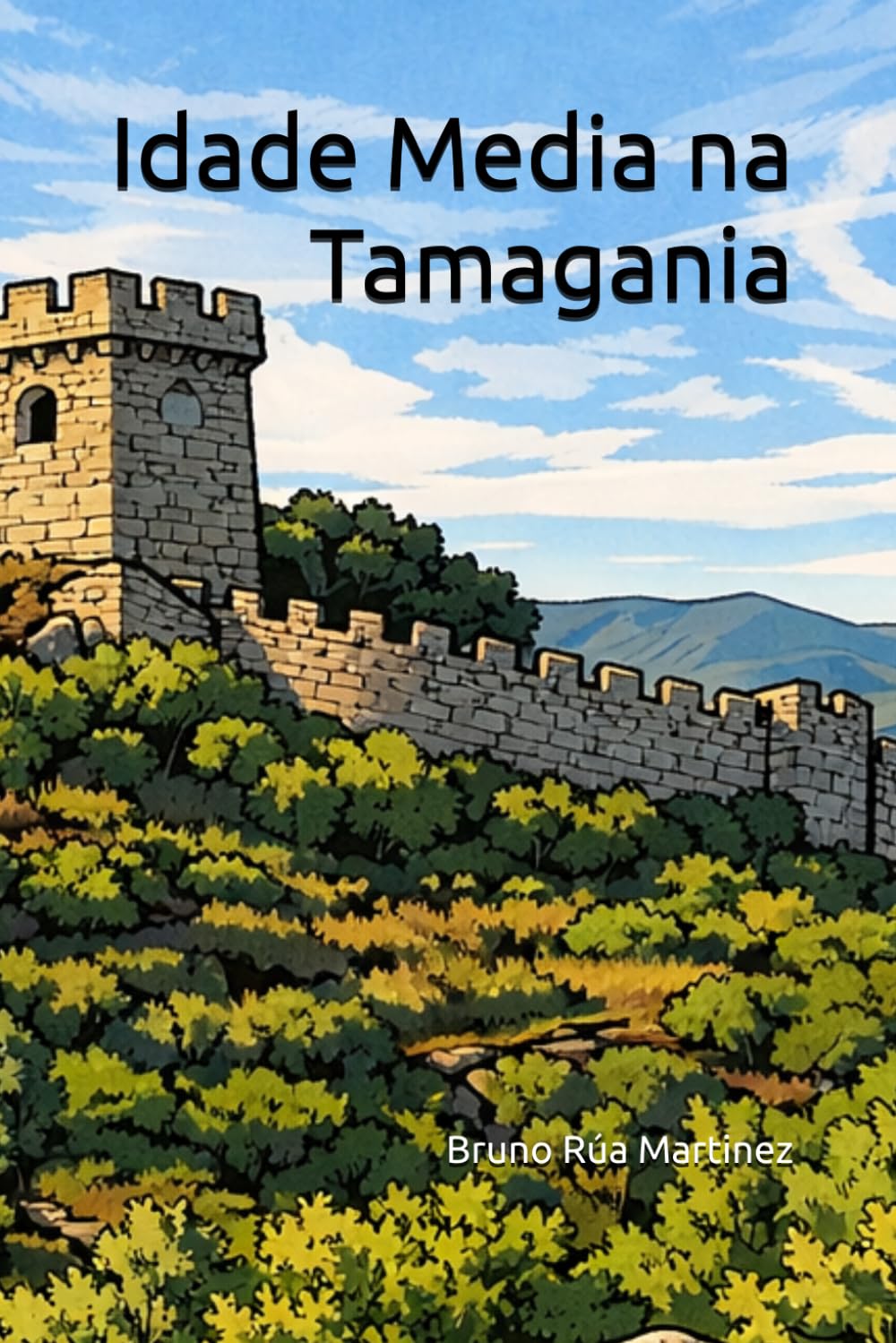 Idade Media na Tamagania (COLECCIÓN TABOADA CHIVITE DE PATRIMONIO)