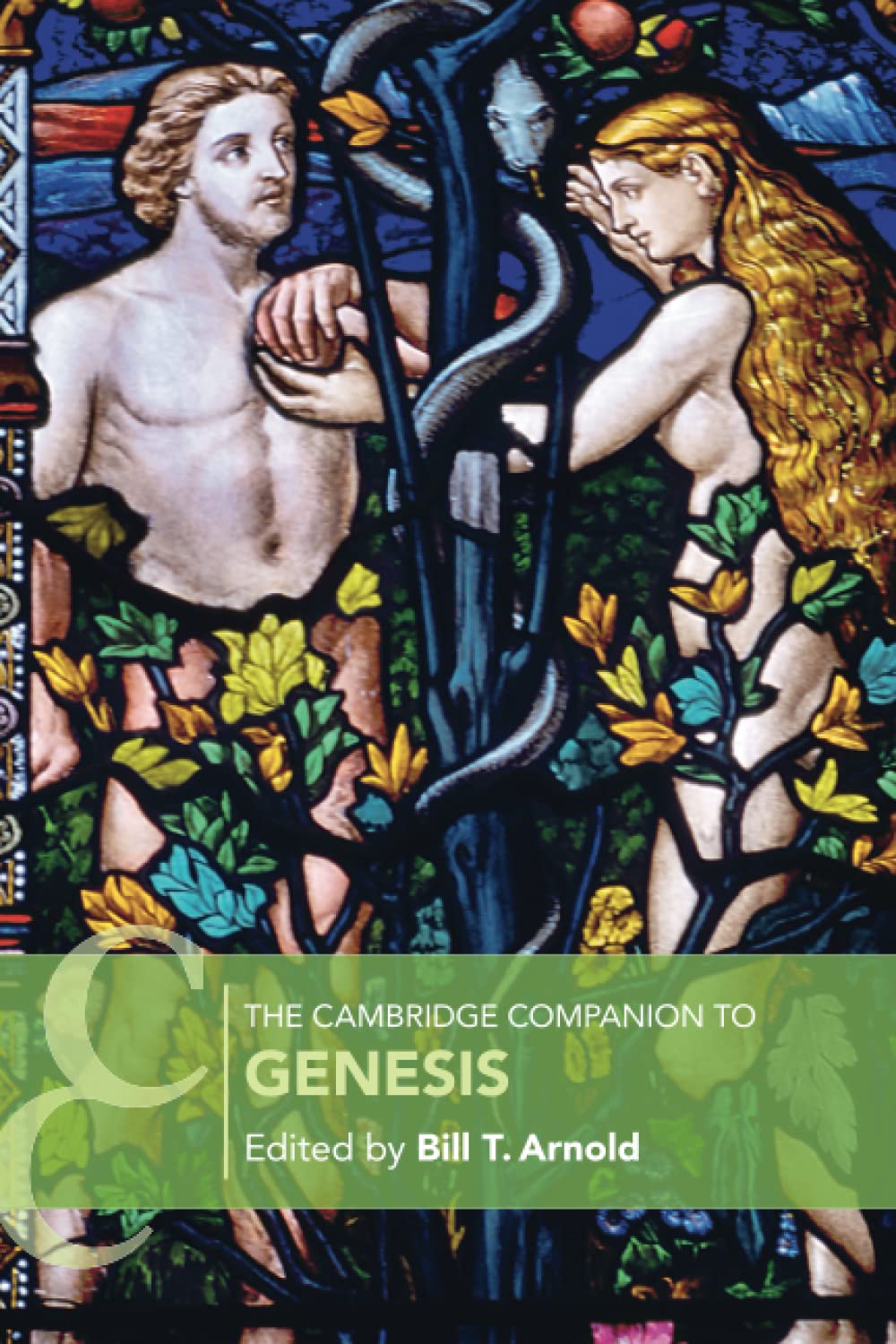 The Cambridge Companion to Genesis Arnold Paperback Cambridge University Press