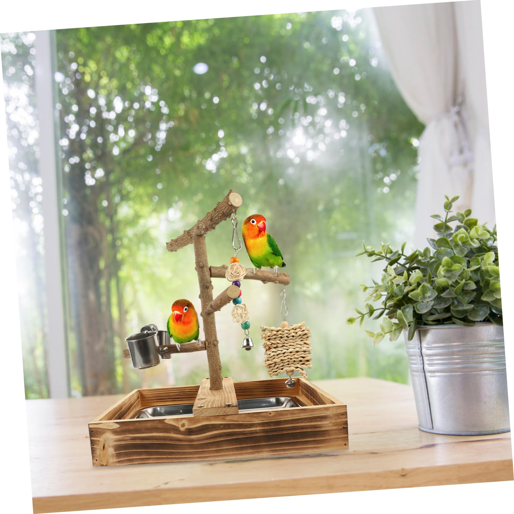 Angoily de Entrenamiento de Madera para Pájaros Juguete para Pájaros Zona para Accesorio para Jaula de Perchas para Soporte para Casa