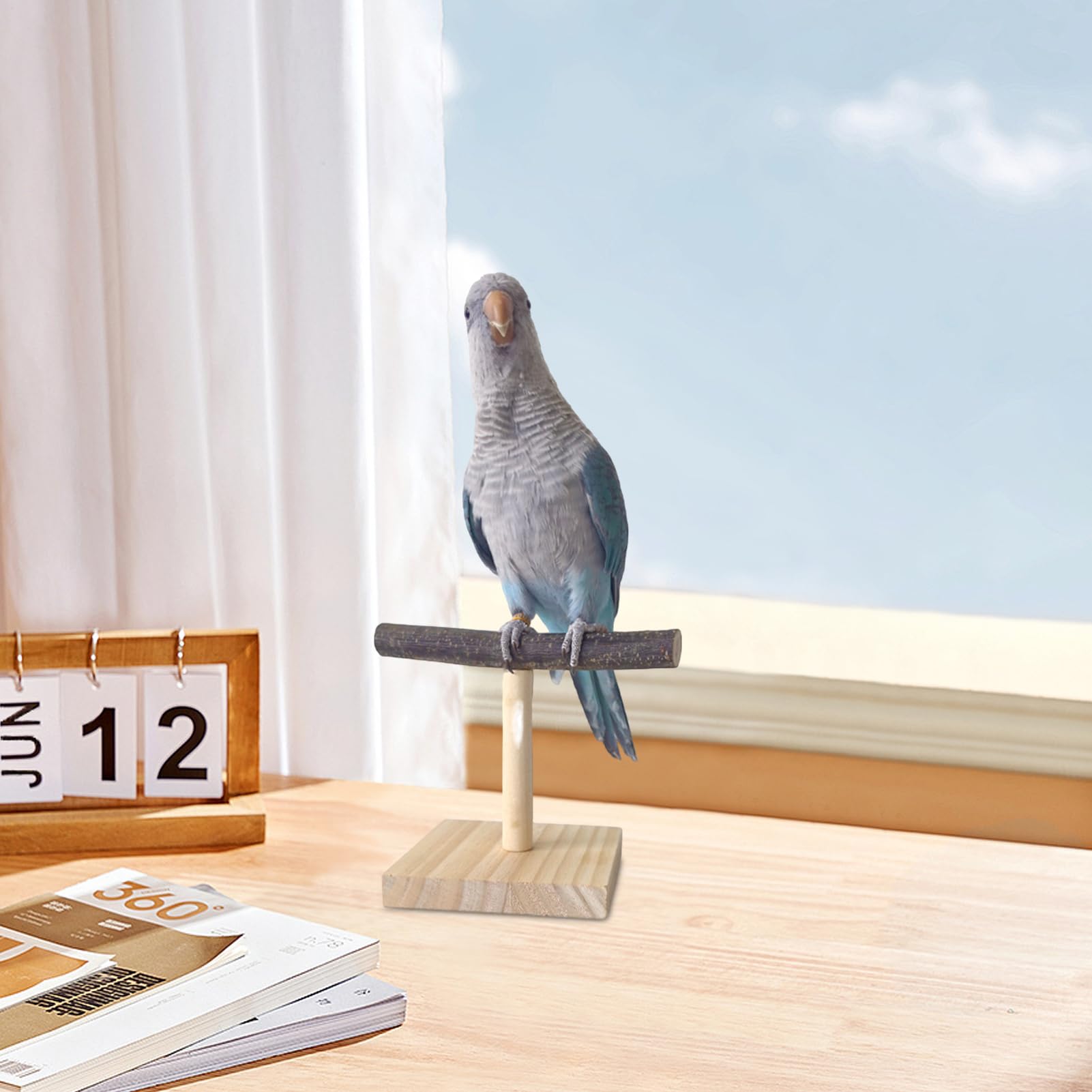 Generisch Trainingsständer für Vogelsitzstangen – Tischplattform für aus Holz, Ruhestation aus Naturholz, praktische Sitzstangenlösung | Robustes Käfigzubehör, Spielplatz für , Wellensittiche