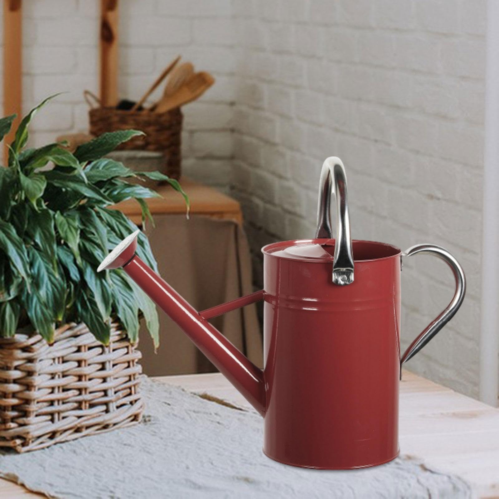 perfk​ Edelstahl-Gießkanne mit abnehmbarem Ausguss – Rostfreie Metallgießkanne für Innen & Außen, ergonomischer Griff für Pflanzen & Blumen​, 5 l, Feinsprüher, Rot