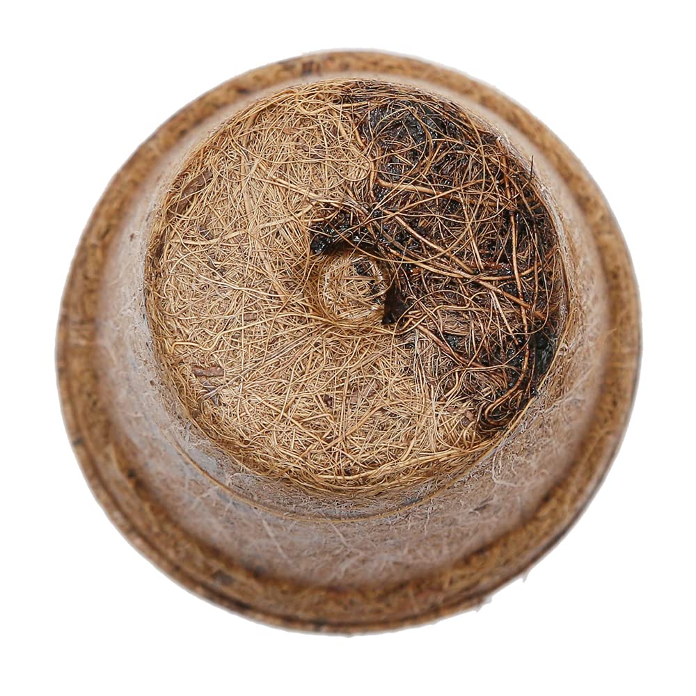 ココナッツ様 Amazon.co.jp: 生分解性ココナッツポット 80×80×85mm 5個