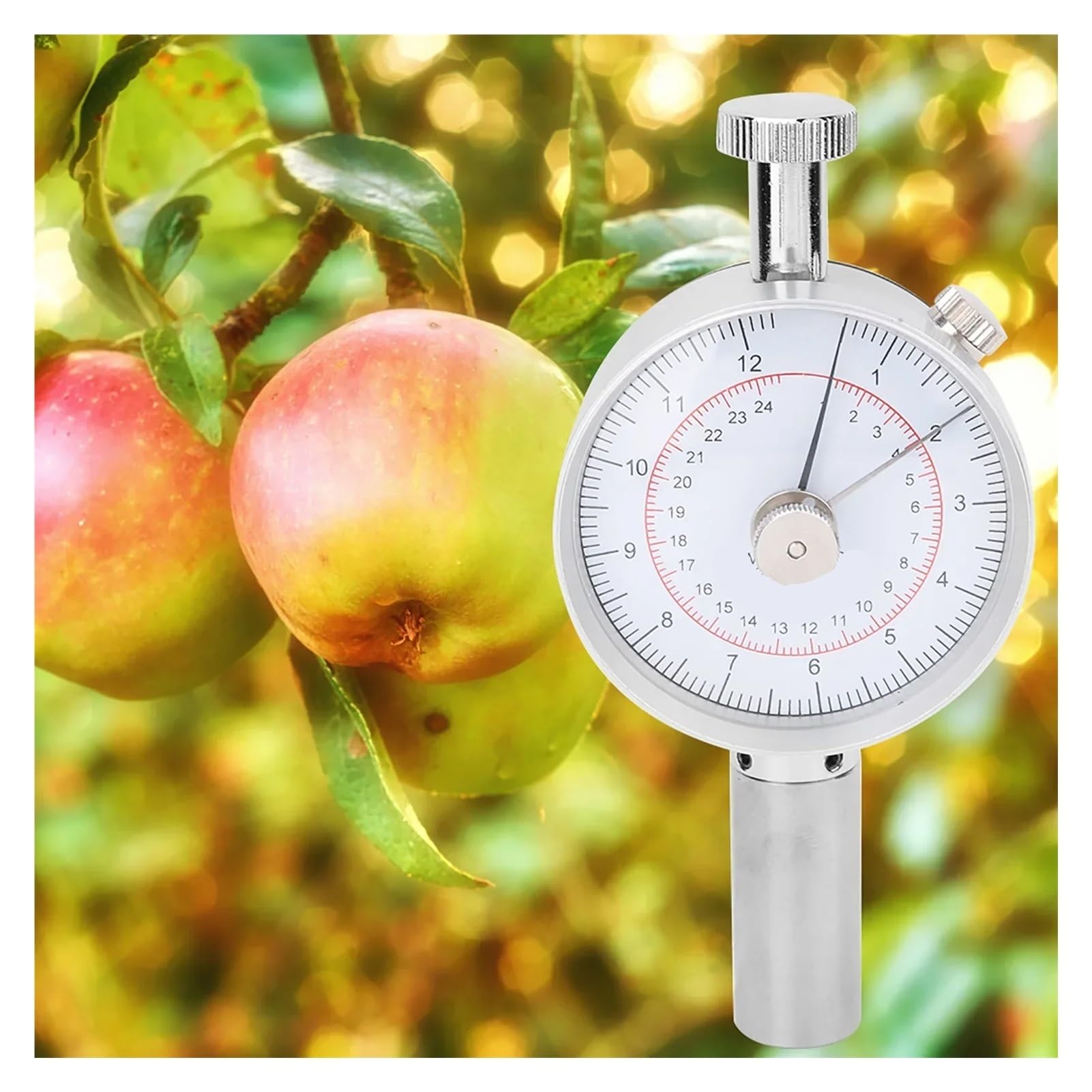 Durómetro portátil for frutas, esclerómetro, durómetro for naranjas, penetrómetro,Sonda precisa
