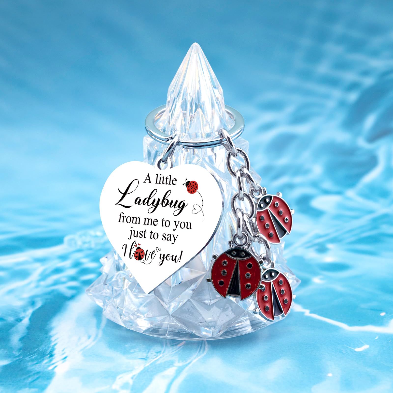 Lady Bugs Keychain Ladybug Gifts For Women Romantic i Love You Gifts For Her Birthday Anniversary Valentines Gift For Girlfriend Mini Ladybugs Keychain For Girlfriend Gift For Ladybug Lovers