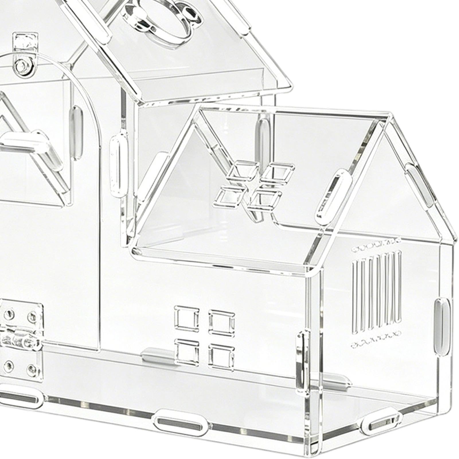 Teca per Tarantola in Acrilico Trasparente con Porta Magnetica Ventilata,Habitat per Custode di Rettili | Terrario come habitat per lumache - Adatto A Animali Come Paguri, Piccoli Rettili, Mantidi, Sc