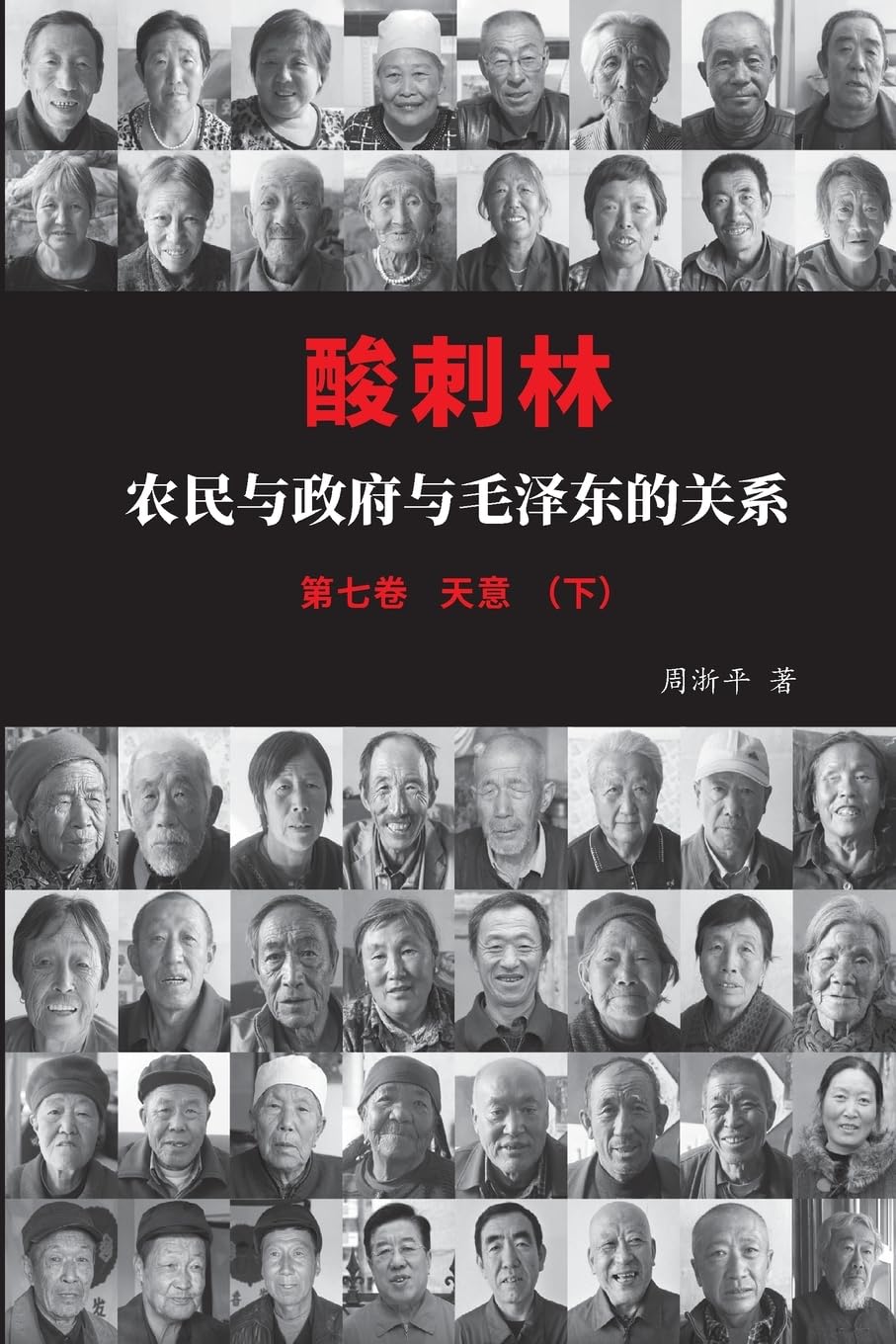酸刺林:农民与政府与毛泽东的关系(七卷下)